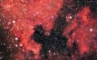 Maglice NGC7000, IC5067 I IC5070