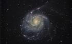 Galaktika M101