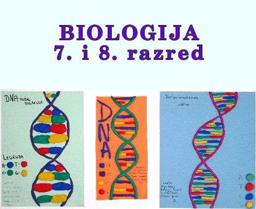 biologija-radovi učenika